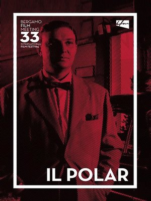 cover image of Il Polar
